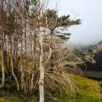 Recent Lava Flow