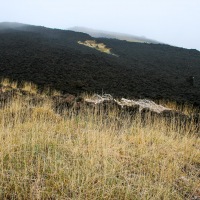 Recent Lava Flow