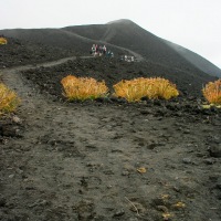 Recent Lava Flow