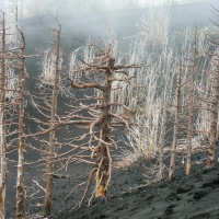 Recent Lava Flow