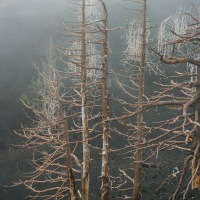 Recent Lava Flow