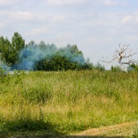 Wotton Underwood Open Day