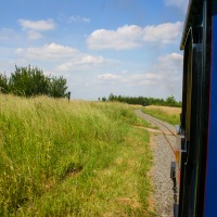 Wotton Underwood Open Day