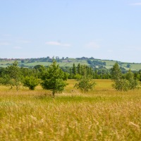 Wotton Underwood Open Day