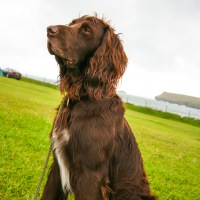 Camping in Cornwall