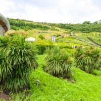 Camping in Cornwall