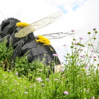 Camping in Cornwall