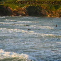 Camping in Cornwall