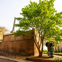 Cambridge Society Visit to the Docklands