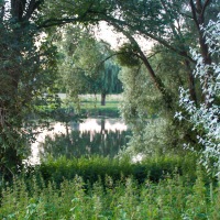 Chenonceaux