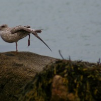 Trip to Herm