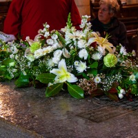 Swan Group Flower Festival 12th May - 13th May 2007