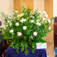 Swan Group Flower Festival 12th May - 13th May 2007