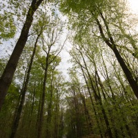 St Fagans