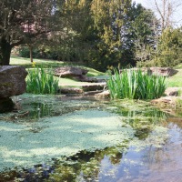 St Fagans