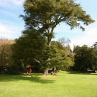 Old Wardour Castle