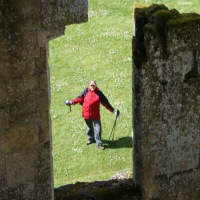 Old Wardour Castle