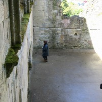 Old Wardour Castle