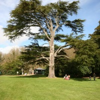 Old Wardour Castle