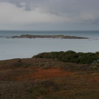 Guernsey