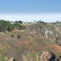 Guernsey