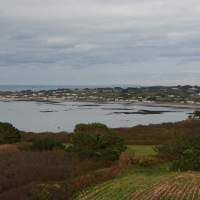 Guernsey