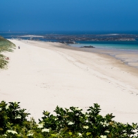 Shell beach, Herm