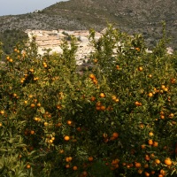 John and Carol in Spain