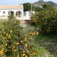 John and Carol in Spain