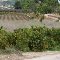 John and Carol in Spain