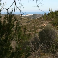 John and Carol in Spain