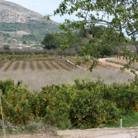 John and Carol in Spain