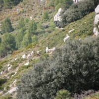 John and Carol in Spain