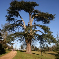 Stowe Park