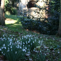 Stowe Park