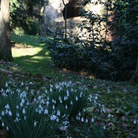 Stowe Park