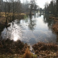 Stowe Park