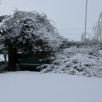 Snow in Kingswood