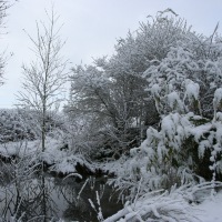 Snow in Kingswood