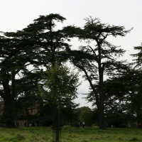 Charlecote Park