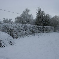 Snow in Kingswood