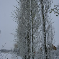 Snow in Kingswood