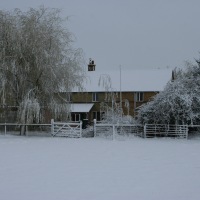 Snow in Kingswood