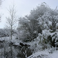 Snow in Kingswood