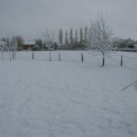 Snow in Kingswood