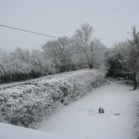 Snow in Kingswood