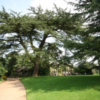 Charlecote Park