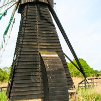 Cambridge Society visit to Wicken Fen