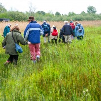 Cambridge Society visit to Wicken Fen