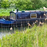 Cambridge Society visit to Wicken Fen